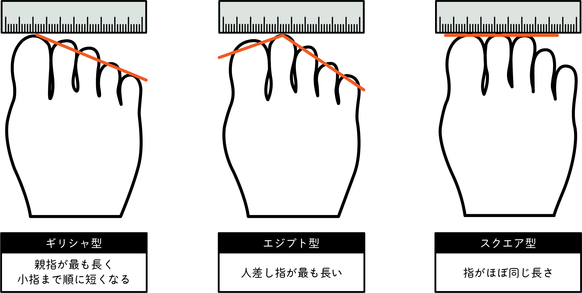 つま先の形を表すイラスト