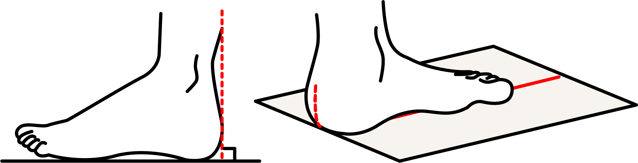 足長と足囲をきちんと測定するのがポイント！ 靴のサイズの正しい測り方を分かりやすく解説 | マーレマーレオンラインストア
